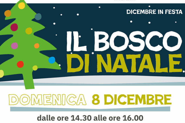 Il bosco di Natale 2024